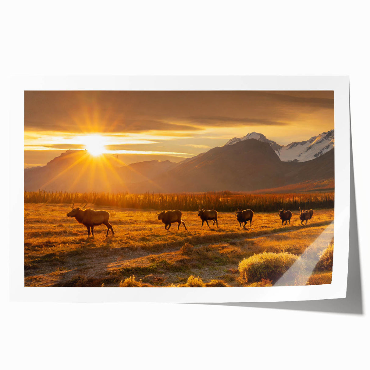 Extra large rolled print of Yukon scenery in Canada, featuring vibrant green and blue tones, ideal for dining room wall art.