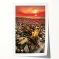 Extra large rolled print of a Lithuanian landscape featuring vibrant green fields and a sunset sky.