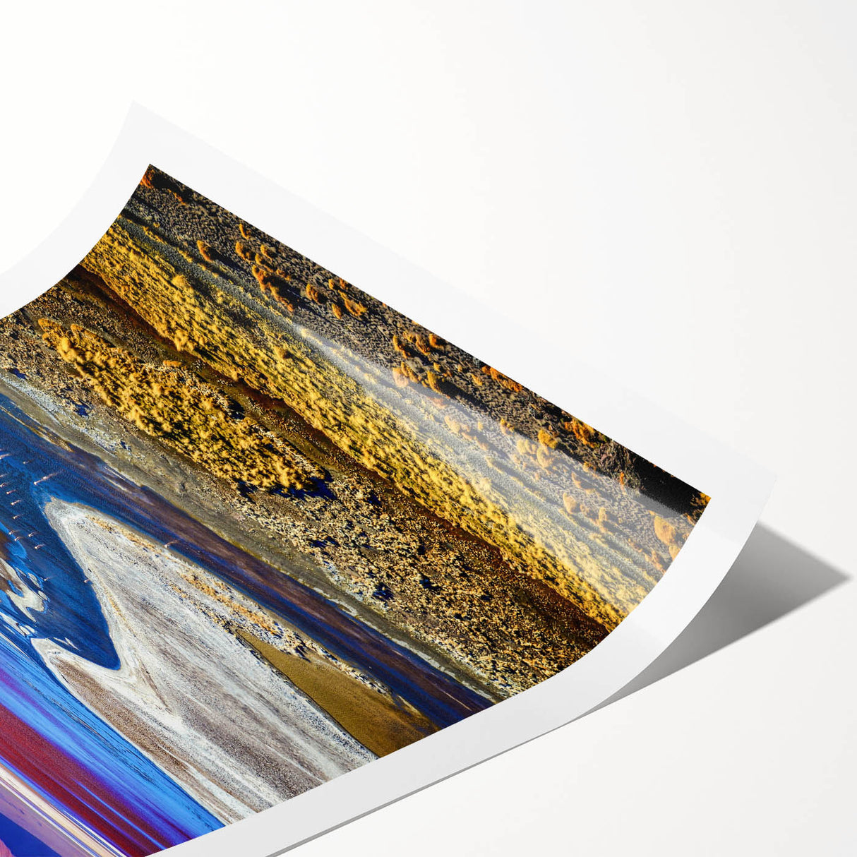 Extra large rolled print featuring line art flowers in neutral tones, ideal for large living room wall art.