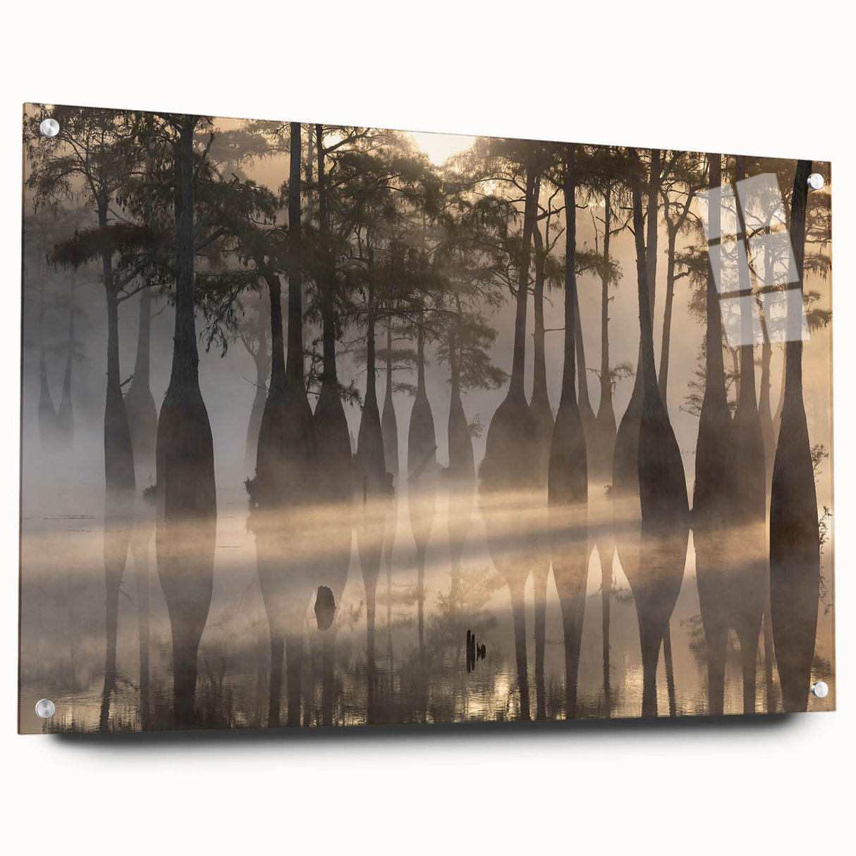 Large abstract wall art of Louisiana scenery on acrylic glass, featuring earthy green and blue tones.