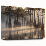 Large abstract wall art depicting a Louisiana landscape in muted green and blue tones, acrylic print.
