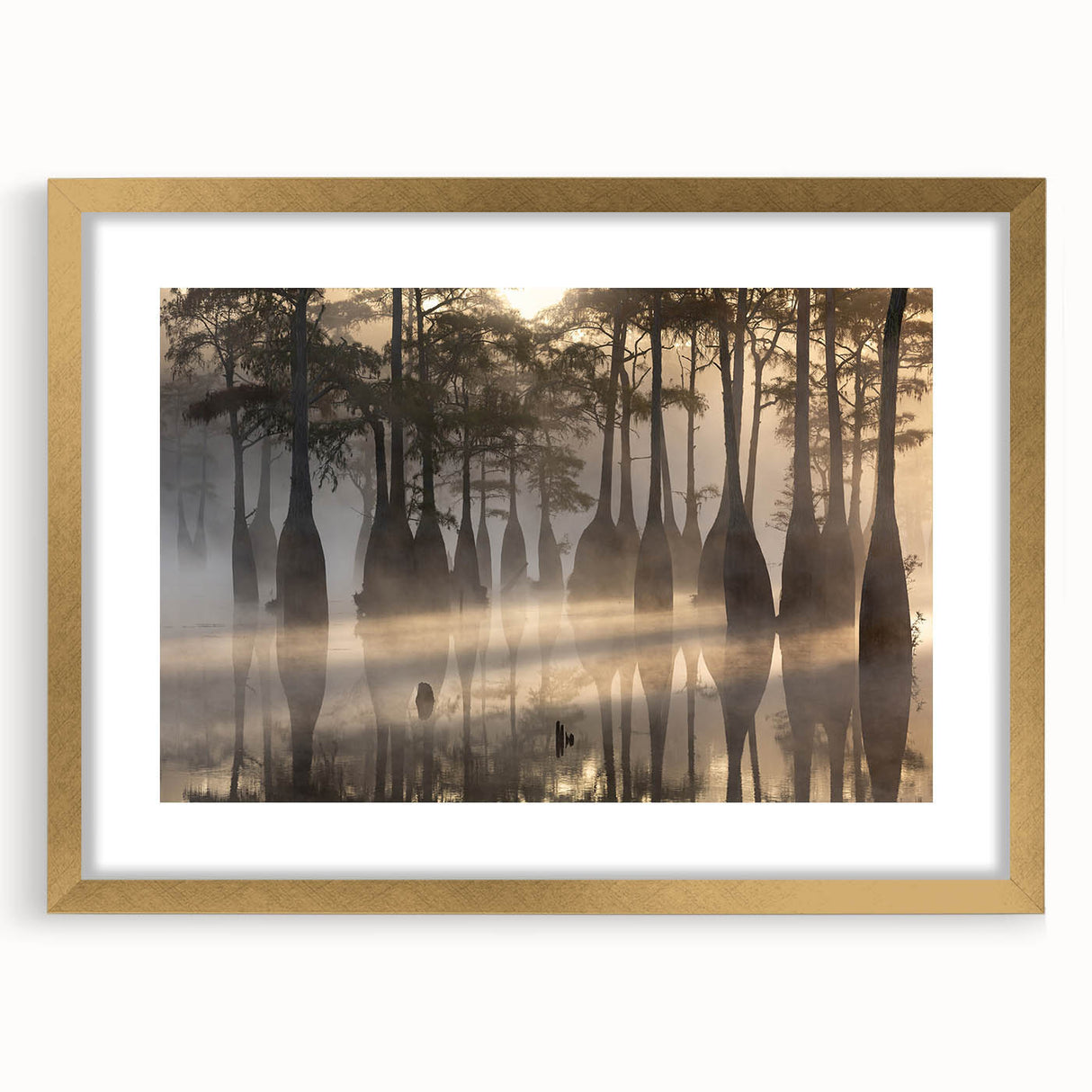 Extra large abstract art print of Louisiana scenery in textured style, featuring earth tones on a framed canvas.