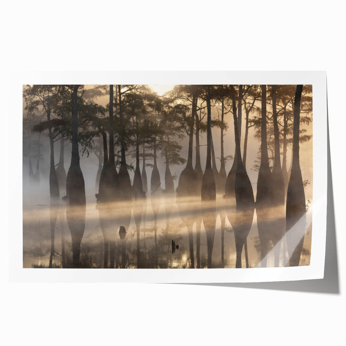 Extra large rolled print featuring a Louisiana scenery in pastel shades, ideal for art wall dining room.