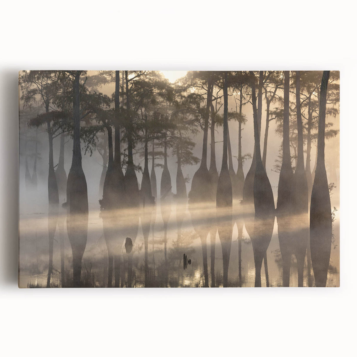 Black and white photographic print of Louisiana scenery on stretched canvas, suited for kitchen wall art.