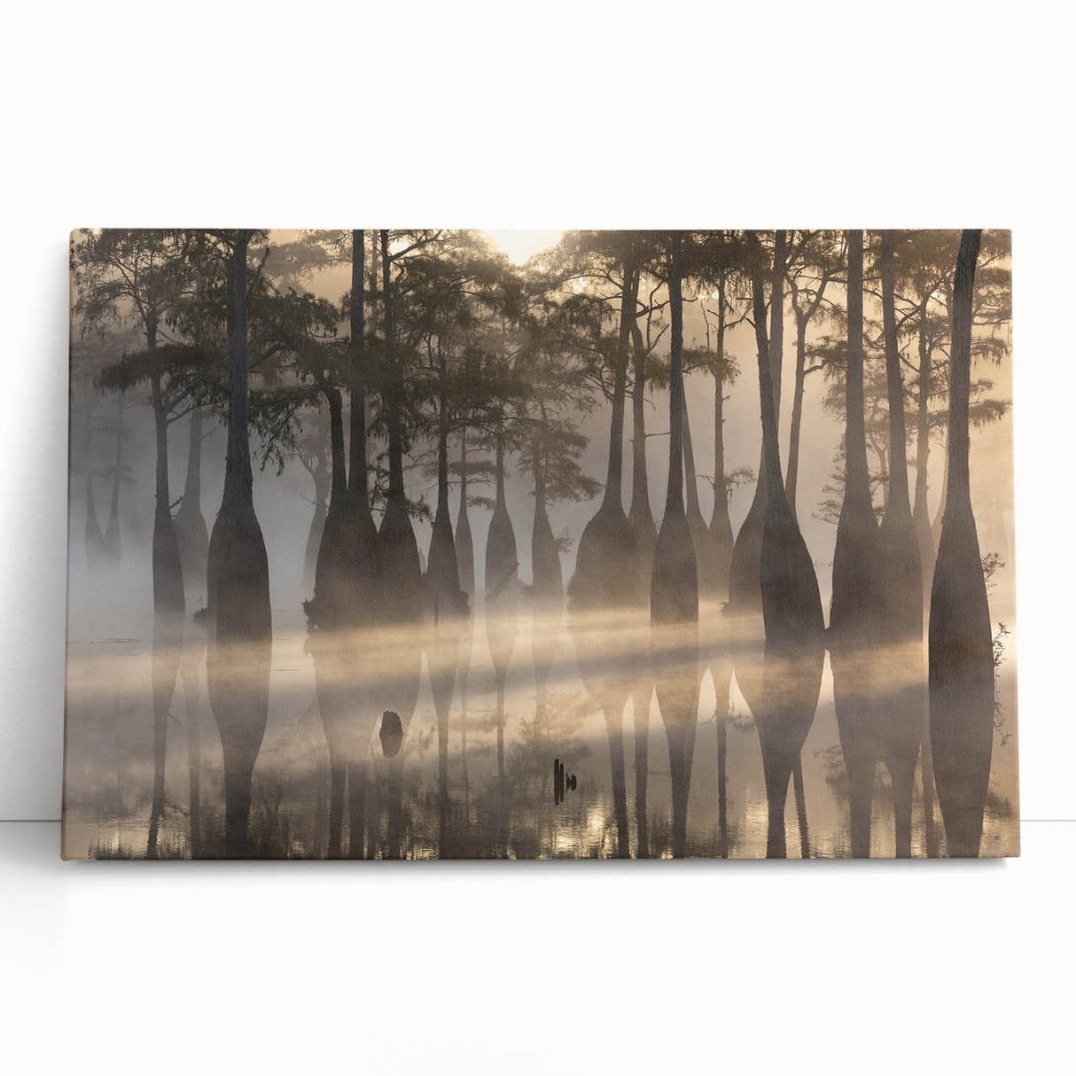 Black and white stretched canvas of Louisiana scenery, ideal for kitchen wall art or bedroom ambiance.