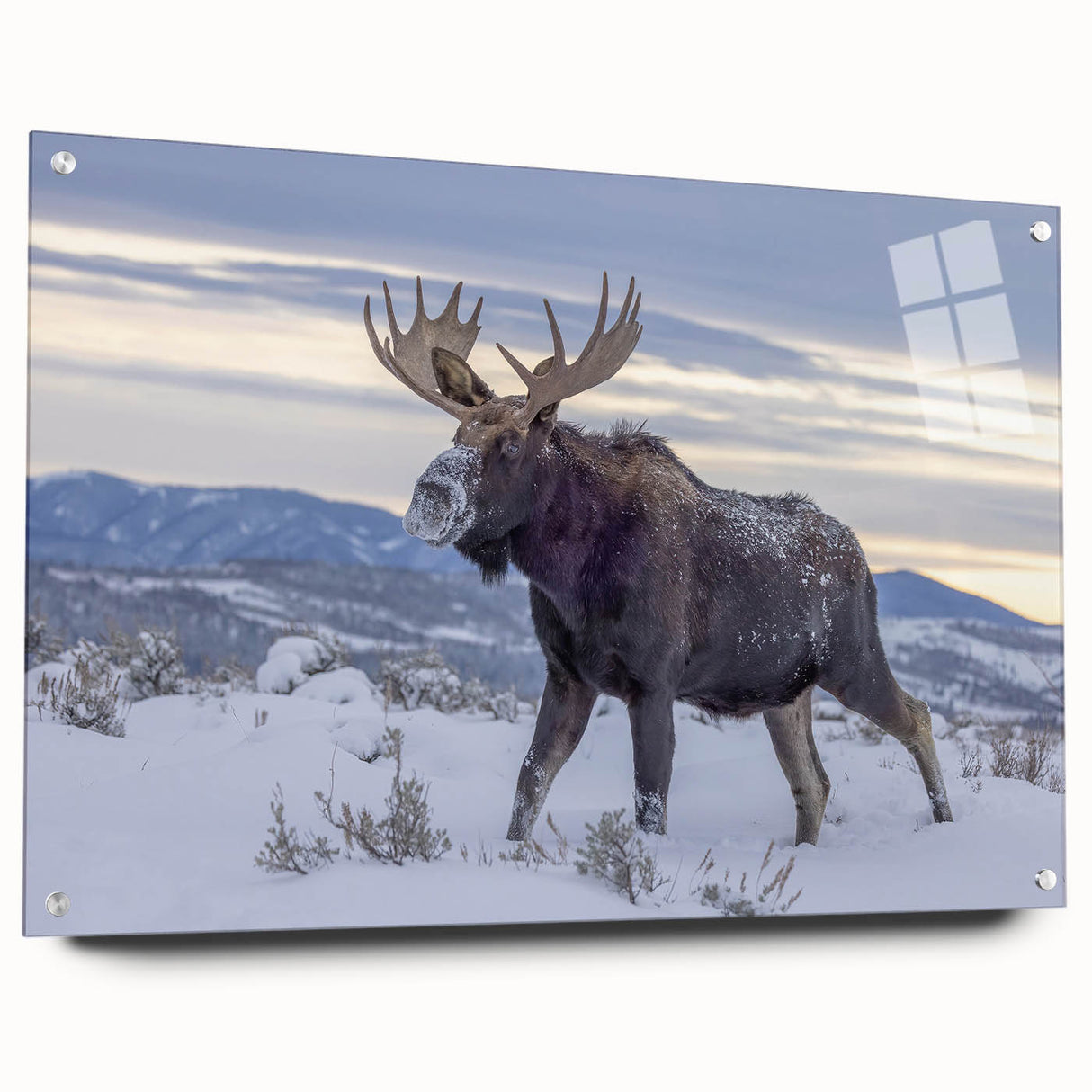 Acrylic print of the Grand Tetons with vibrant green and blue tones, ideal for bedroom or dining room decor.