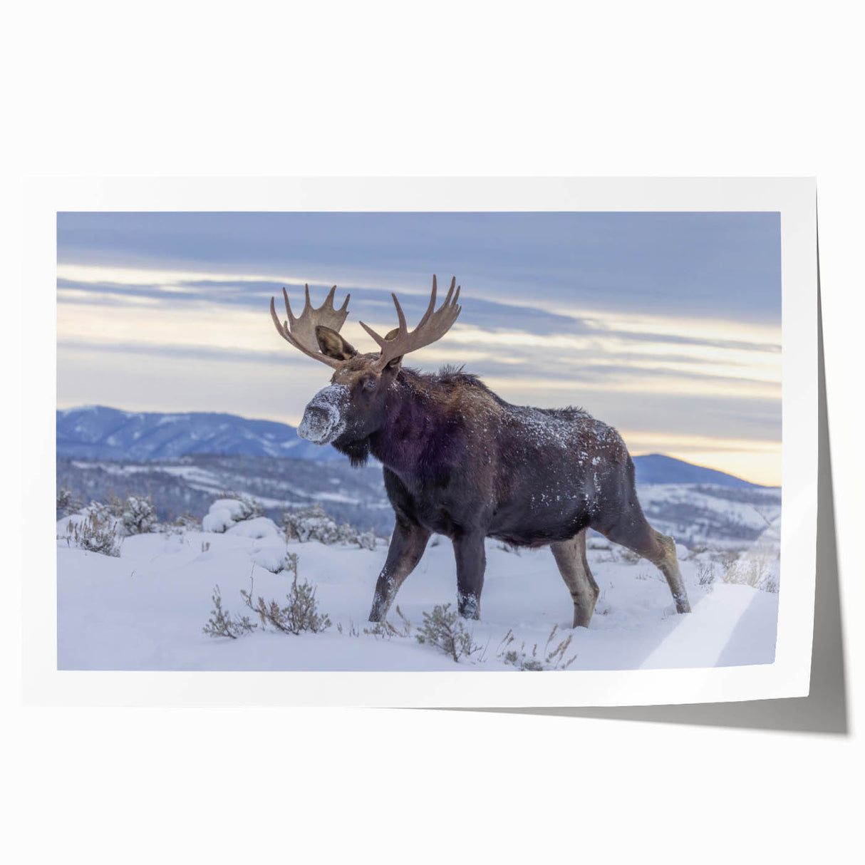 Rolled print of the Grand Tetons in muted earth tones, ideal for art wall dining room decor.