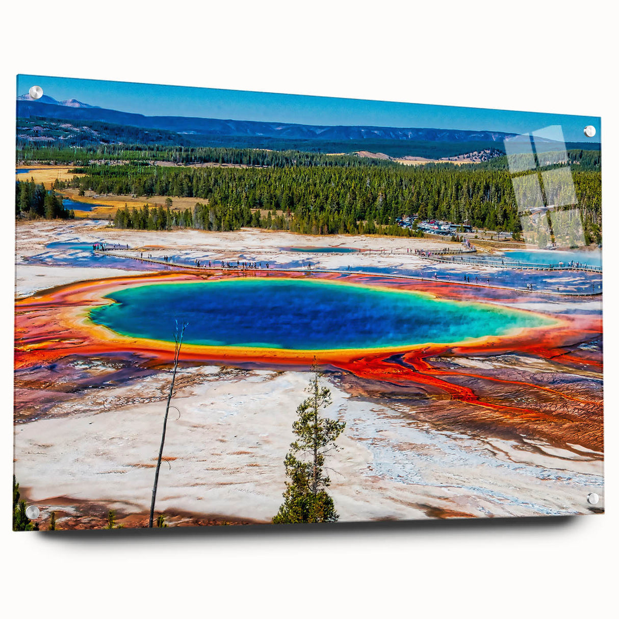 Acrylic print of Yellowstone scenery with vivid blue and green tones, suitable for dining room decor.