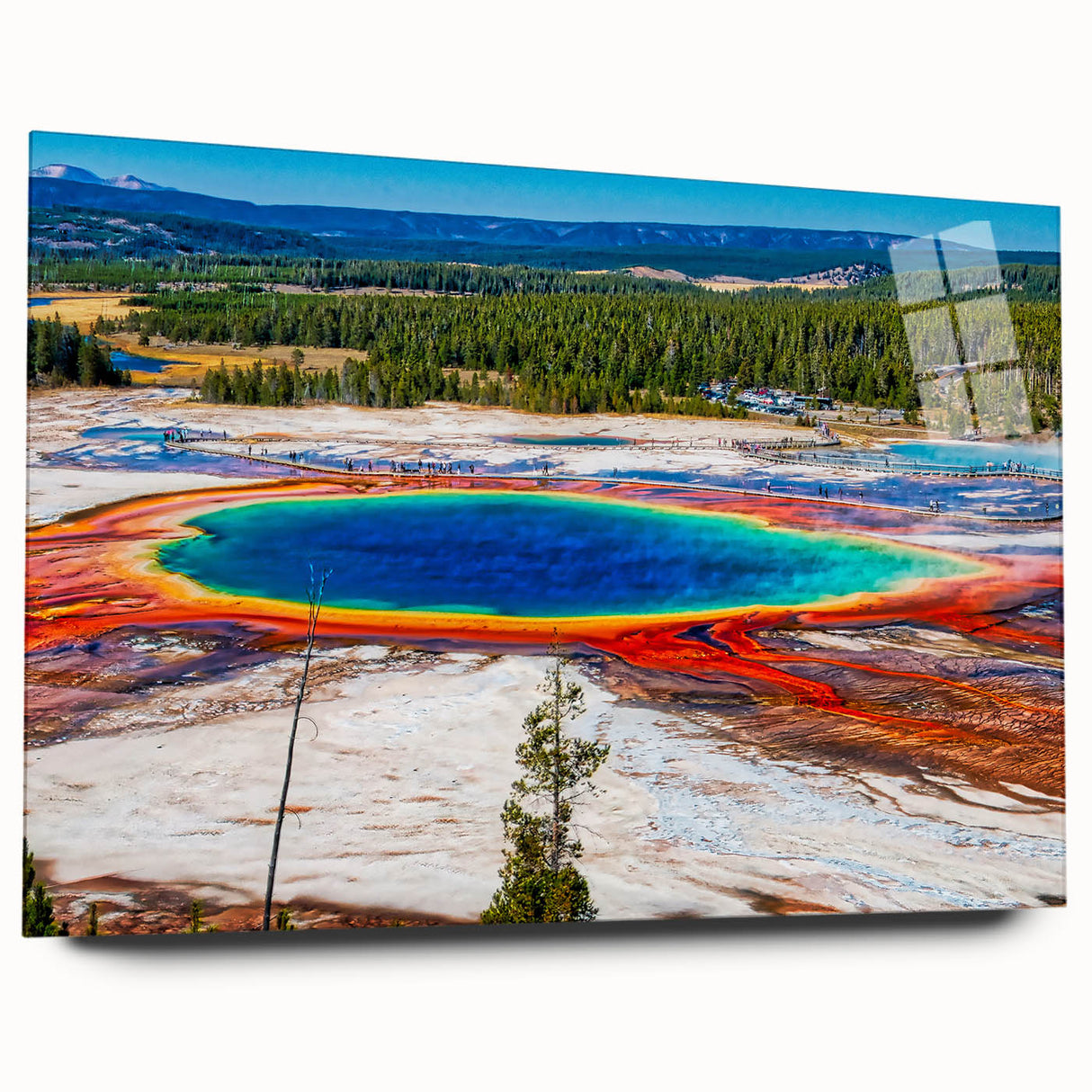 Acrylic print of Yellowstone scenery in natural earth tones, suitable for bedroom or dining room decor.