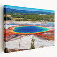 Yellowstone National Park landscape on large stretched canvas, featuring vibrant green and blue tones.