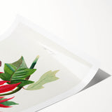 Romanticism Art - Poinsettia Flower Painting with Historical Elegance