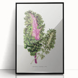 Romanticism Art - Wild Cabbage Leaf Illustration on Canvas