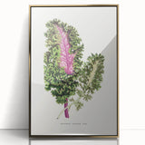 Romanticism Art - Wild Cabbage Leaf Illustration on Canvas
