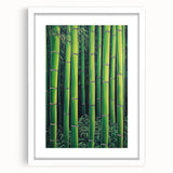 Abstract floral frame with a white mat, showcasing vibrant colors and intricate designs, perfect for modern home decor or art galleries. The elegant composition highlights the beauty of nature-inspired art in a stylish presentation.