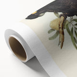 Romanticism Art - Funereal Cockatoo Illustration by Elizabeth Gould