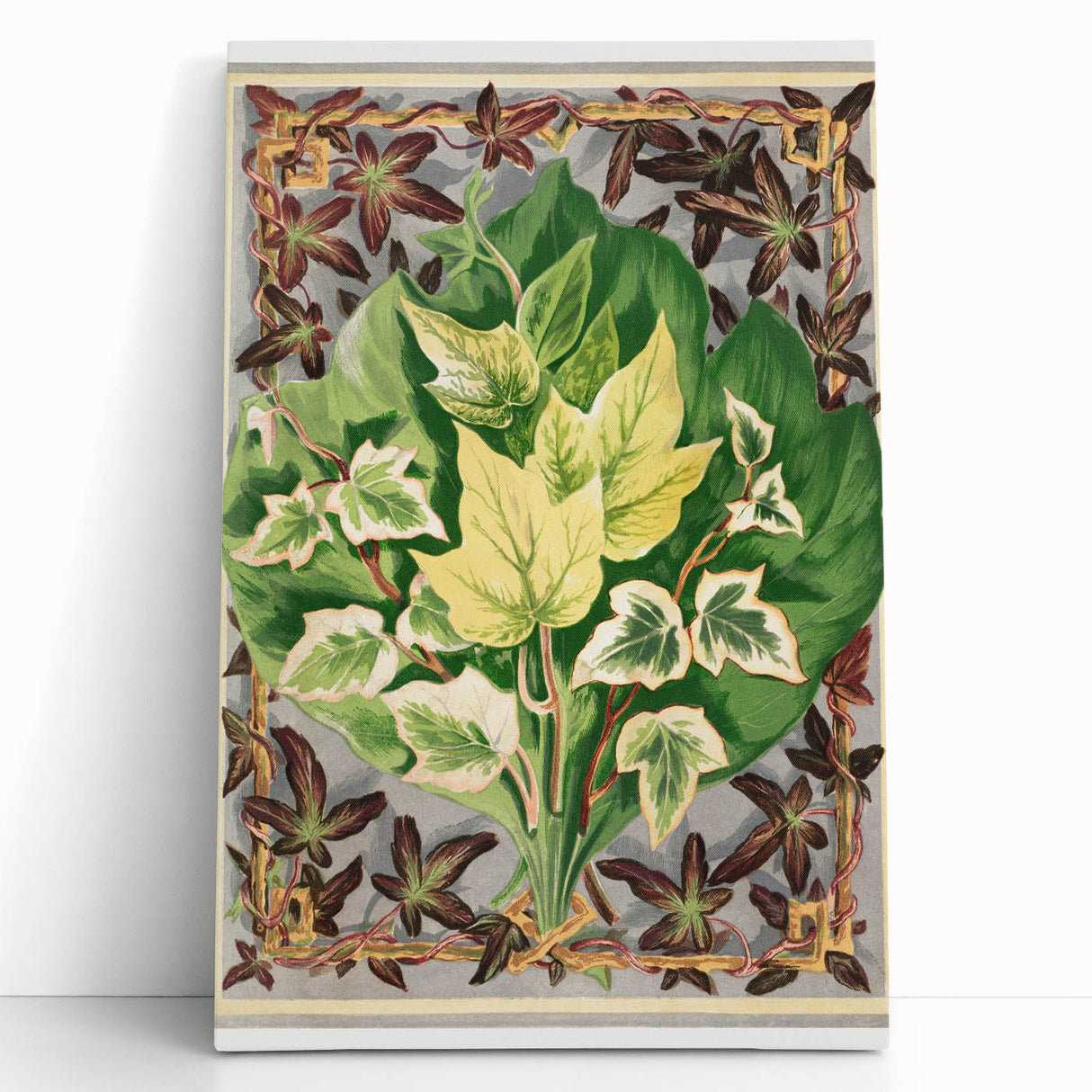 Botanical Art Print - Various Ivy Leaves by Shirley Hibberd - Classic Plant Illustration