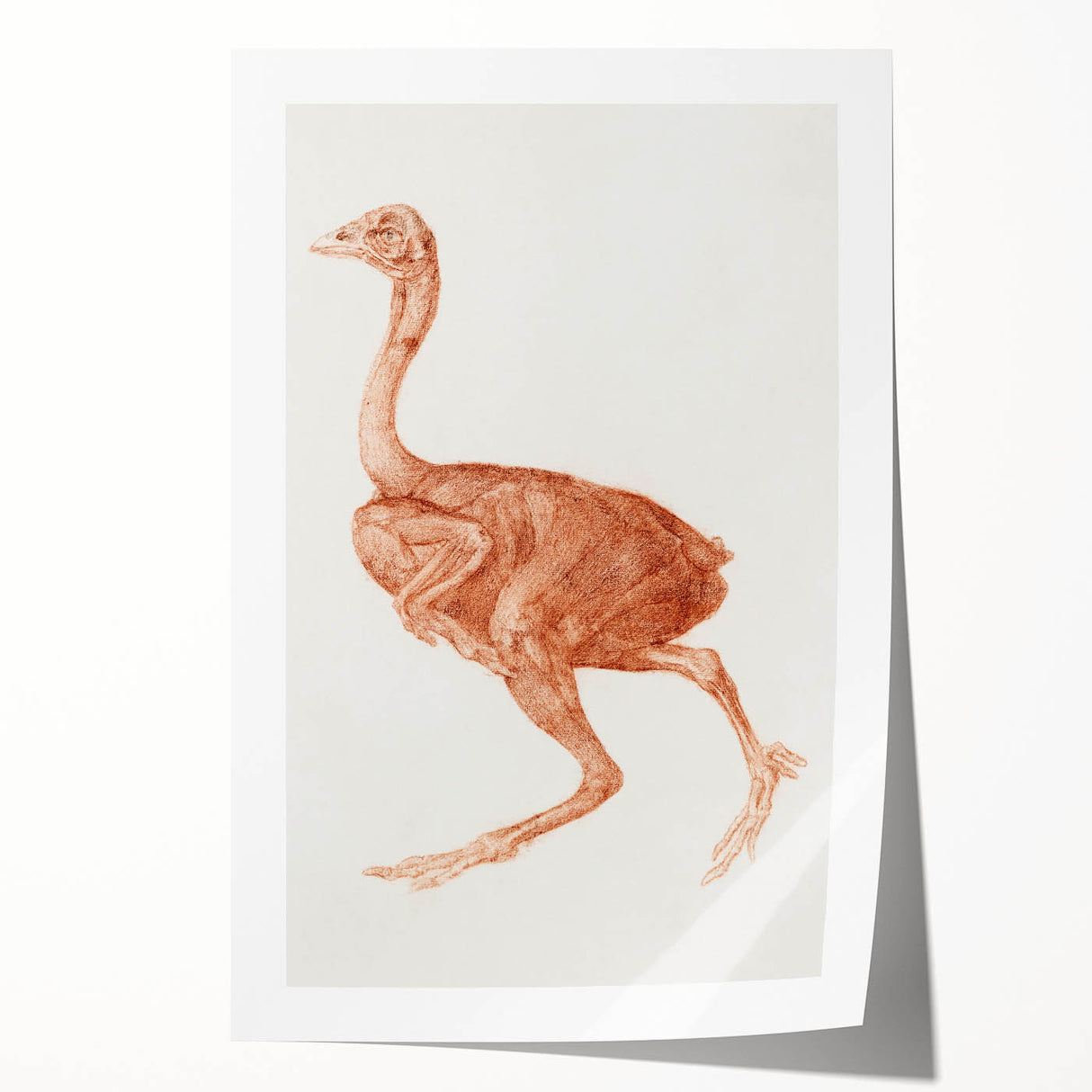Romanticism Art - Dorking Hen by George Stubbs