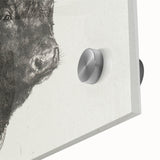 Animal Realism Art Print - Head of a Bull by Marie Rosalie Bonheur - Fine Detail Sketch