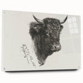 Animal Realism Art Print - Head of a Bull by Marie Rosalie Bonheur - Fine Detail Sketch