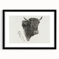 Animal Realism Art Print - Head of a Bull by Marie Rosalie Bonheur - Fine Detail Sketch