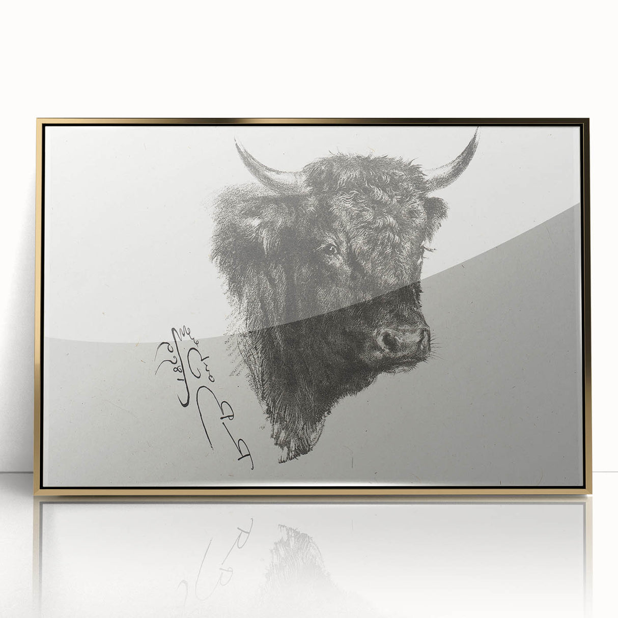 Animal Realism Art Print - Head of a Bull by Marie Rosalie Bonheur - Fine Detail Sketch