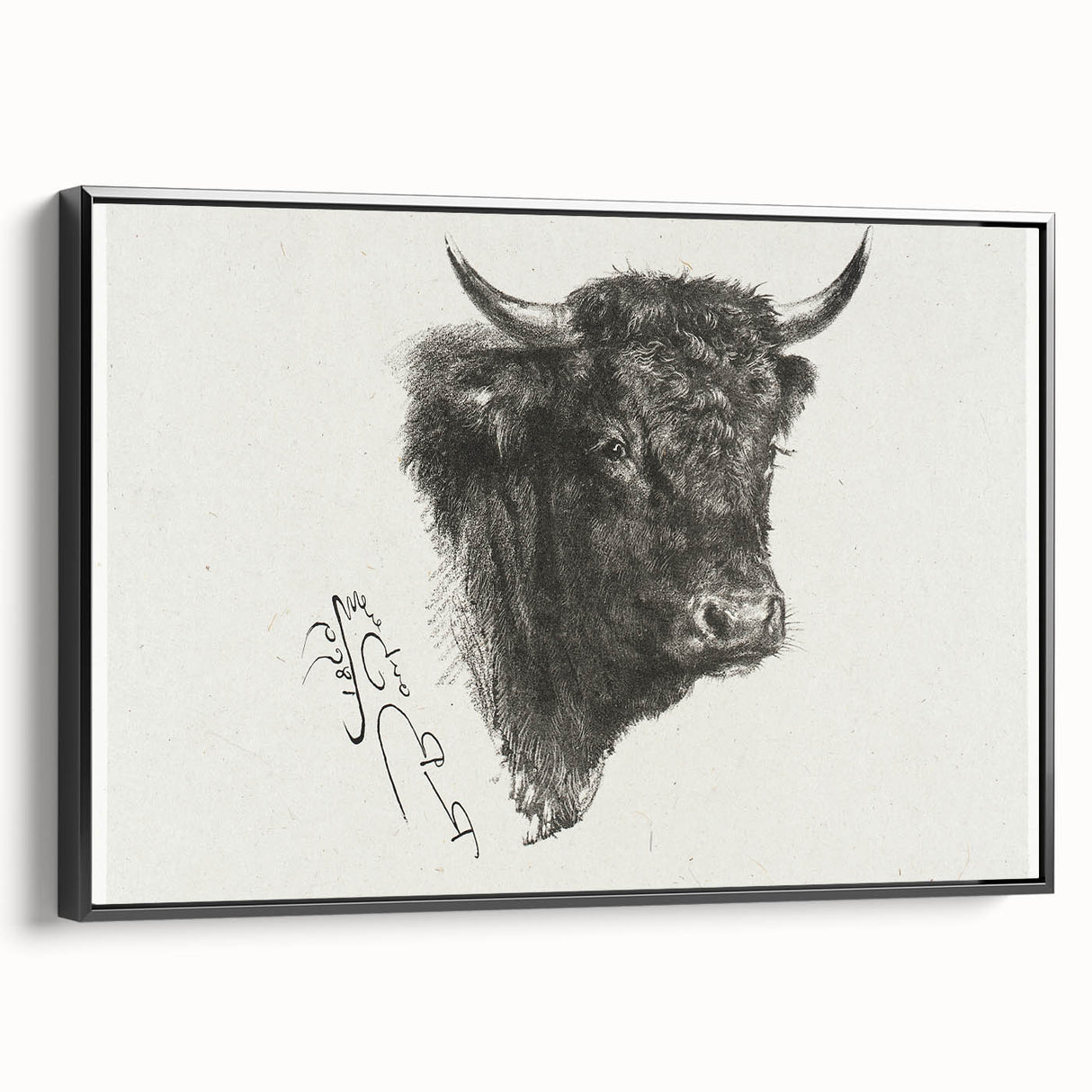 Animal Realism Art Print - Head of a Bull by Marie Rosalie Bonheur - Fine Detail Sketch
