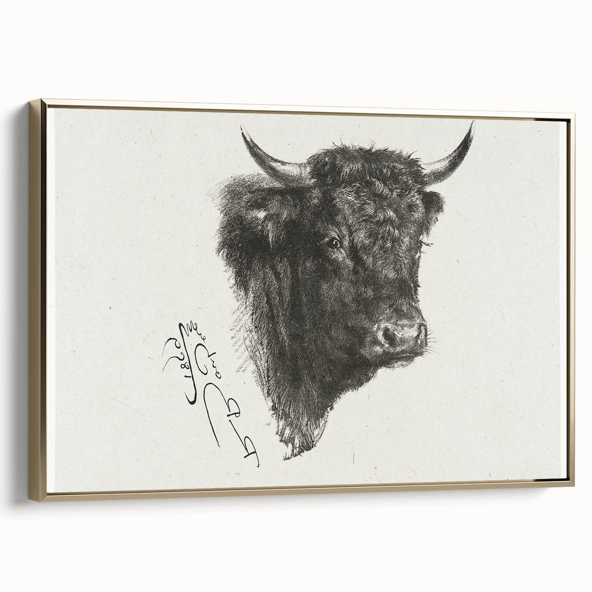 Animal Realism Art Print - Head of a Bull by Marie Rosalie Bonheur - Fine Detail Sketch