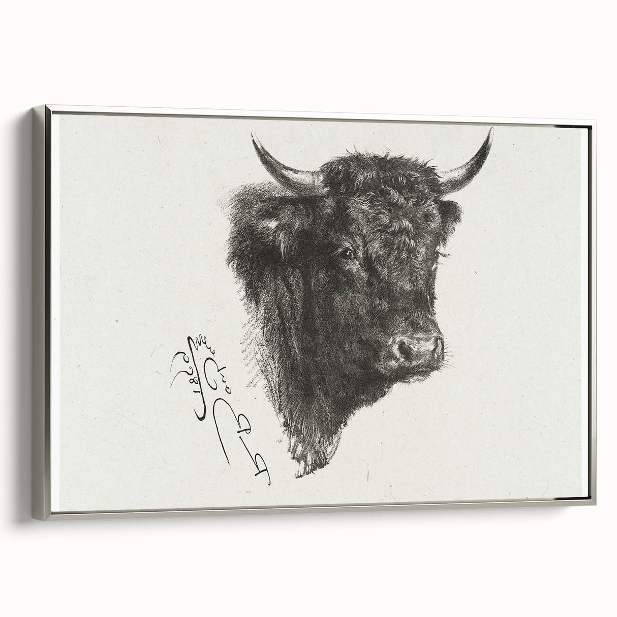 Animal Realism Art Print - Head of a Bull by Marie Rosalie Bonheur - Fine Detail Sketch