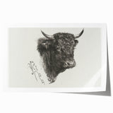 Animal Realism Art Print - Head of a Bull by Marie Rosalie Bonheur - Fine Detail Sketch