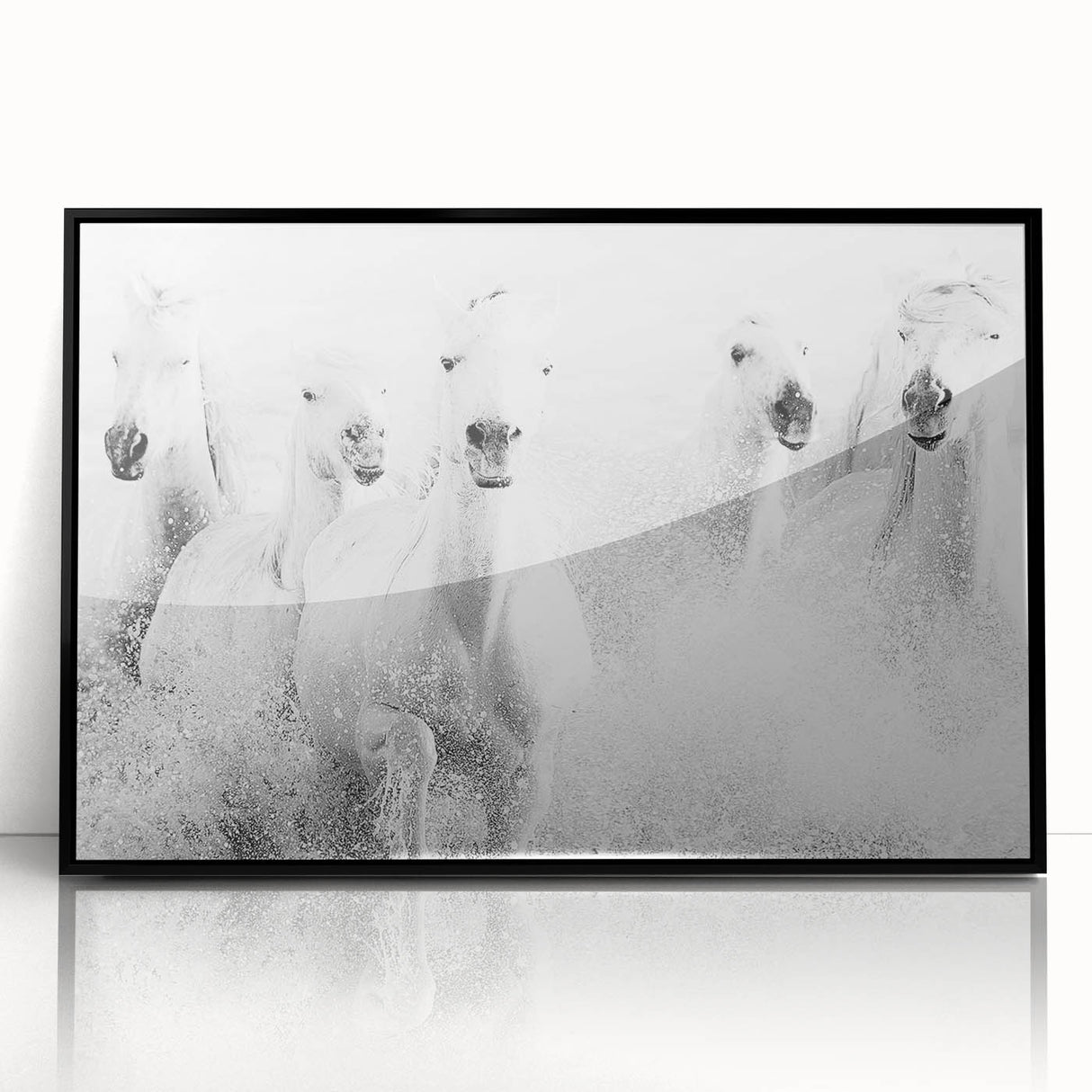 Freedom Surge – Emotional Movement Photography of White Horses