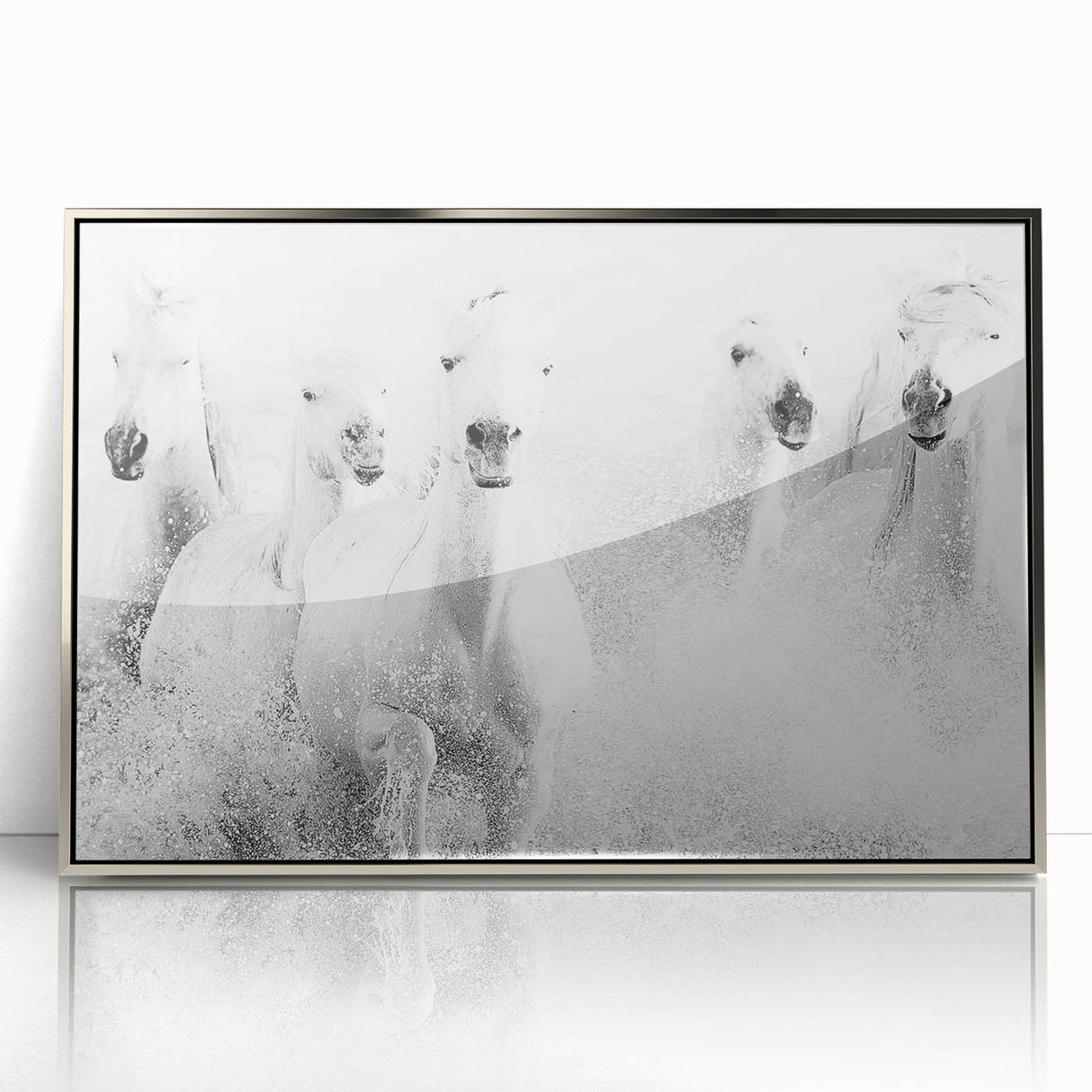 Freedom Surge – Emotional Movement Photography of White Horses