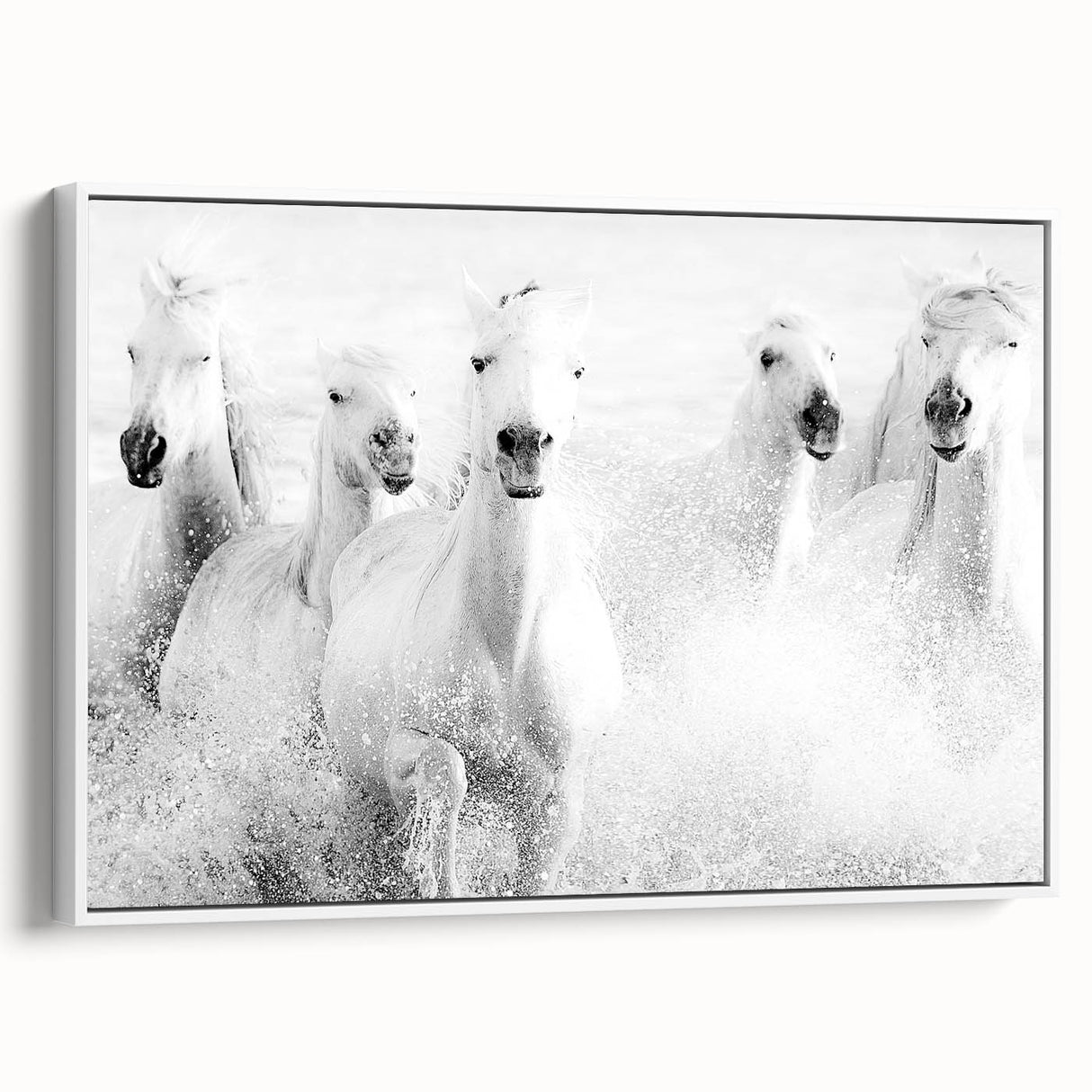 Freedom Surge – Emotional Movement Photography of White Horses