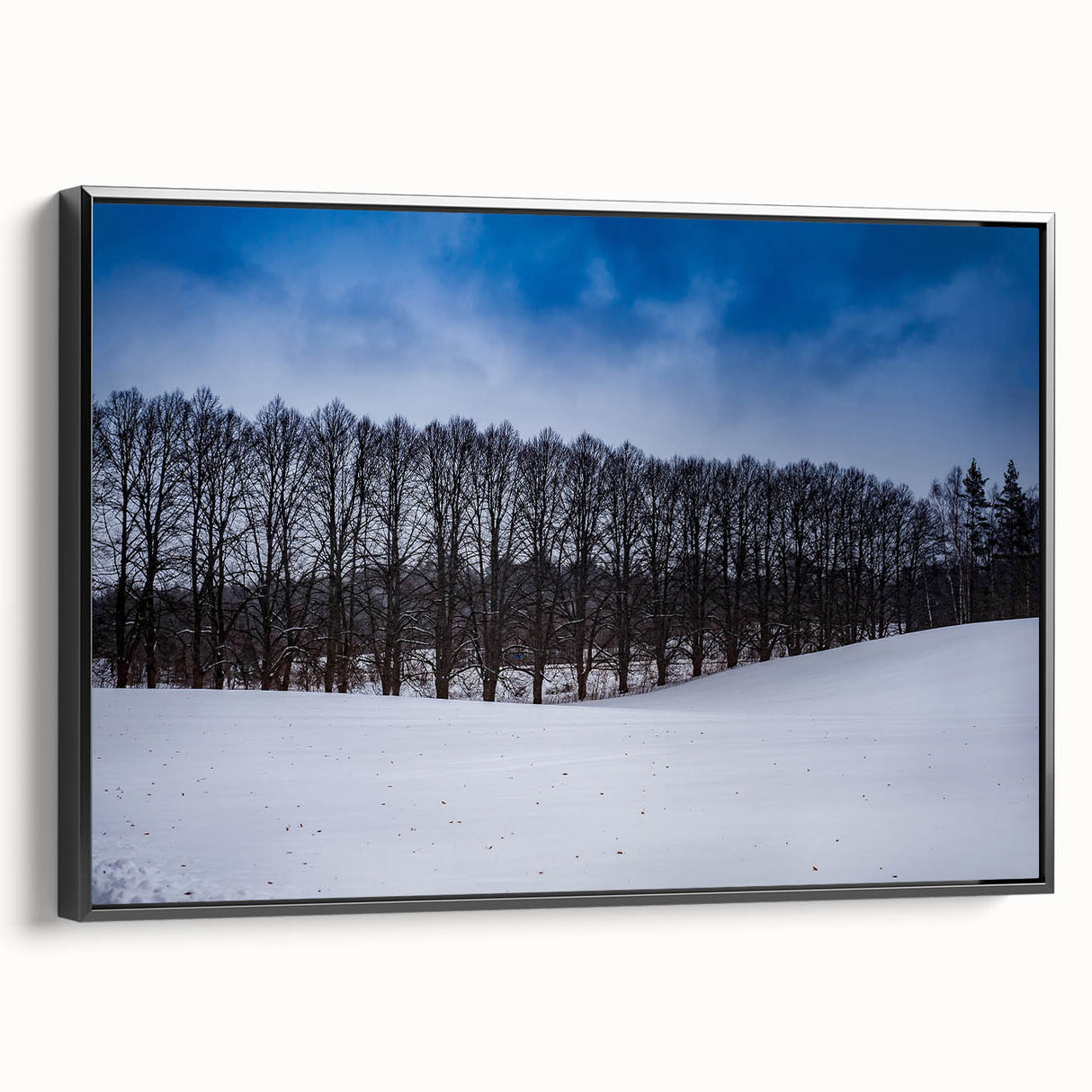 Black and white landscape art painting of a European Estonian scenery, framed canvas, ideal for bedroom wall decor.