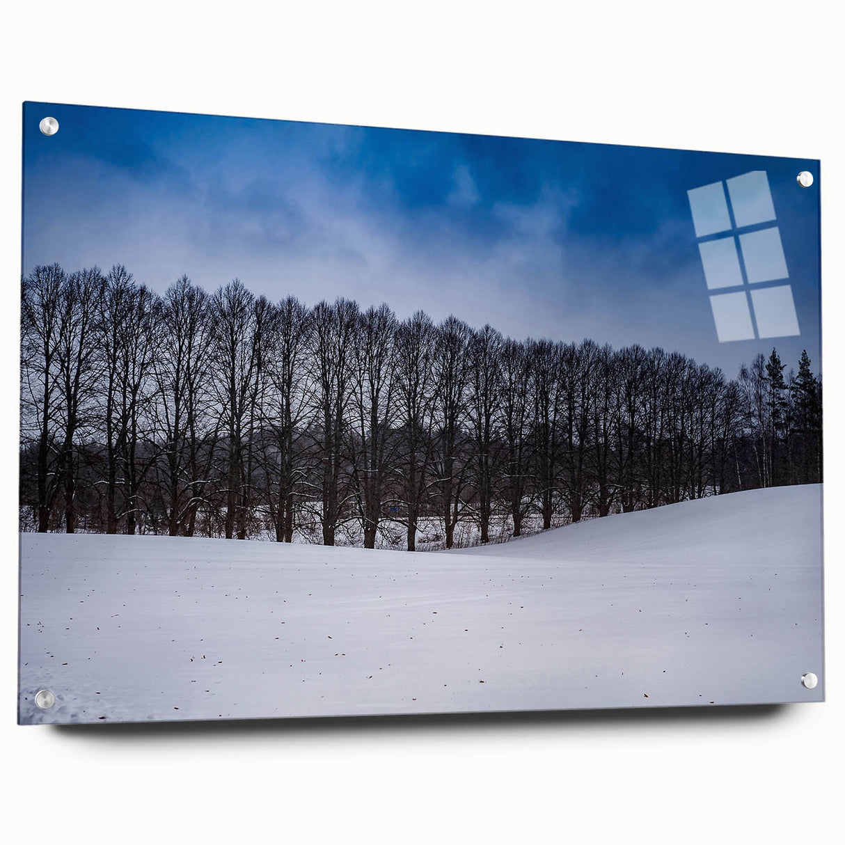 Large abstract wall art depicting a European Estonian scenery in muted earth tones on acrylic glass.