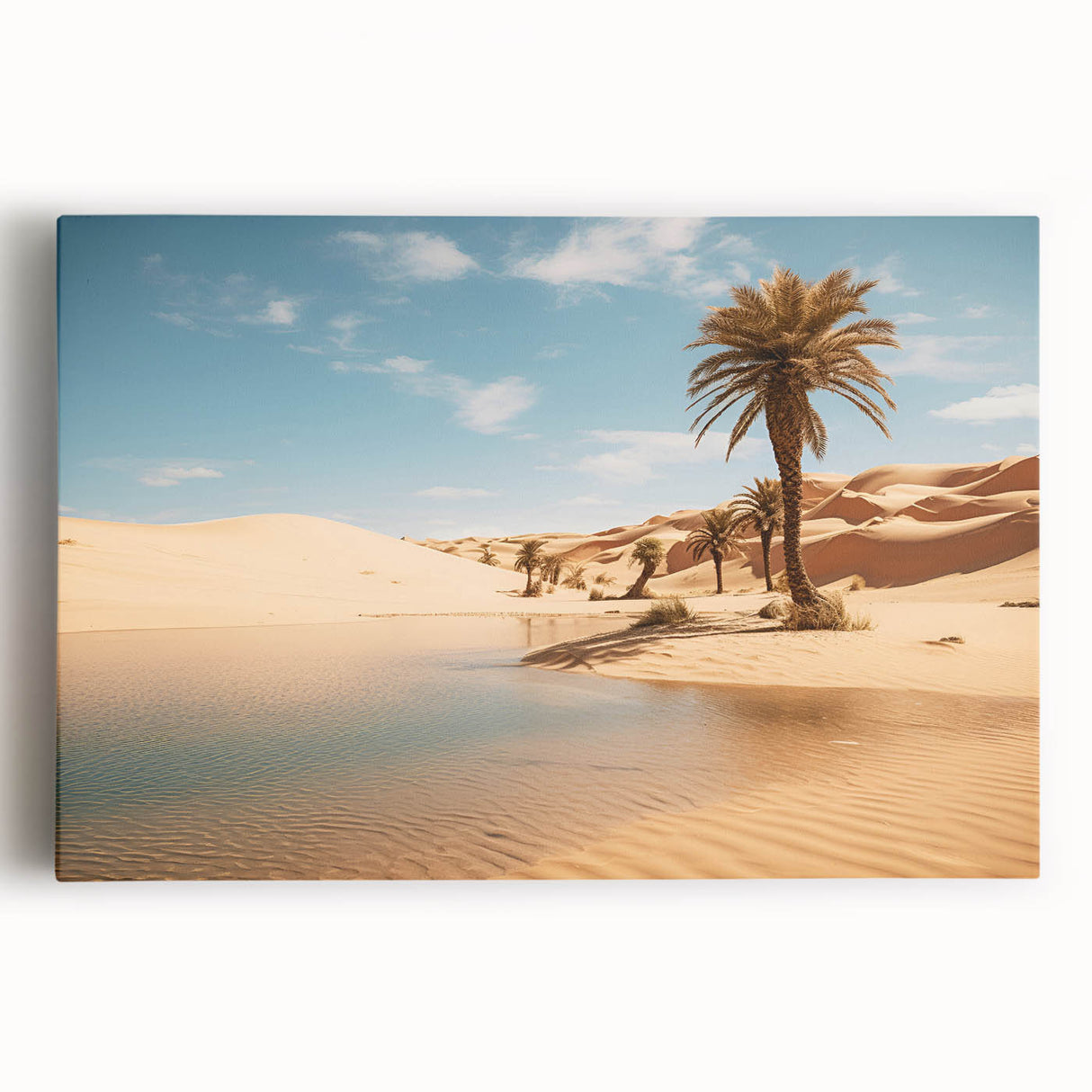 Black and white photograph of Oman scenery on large stretched canvas, suitable for kitchen wall art.