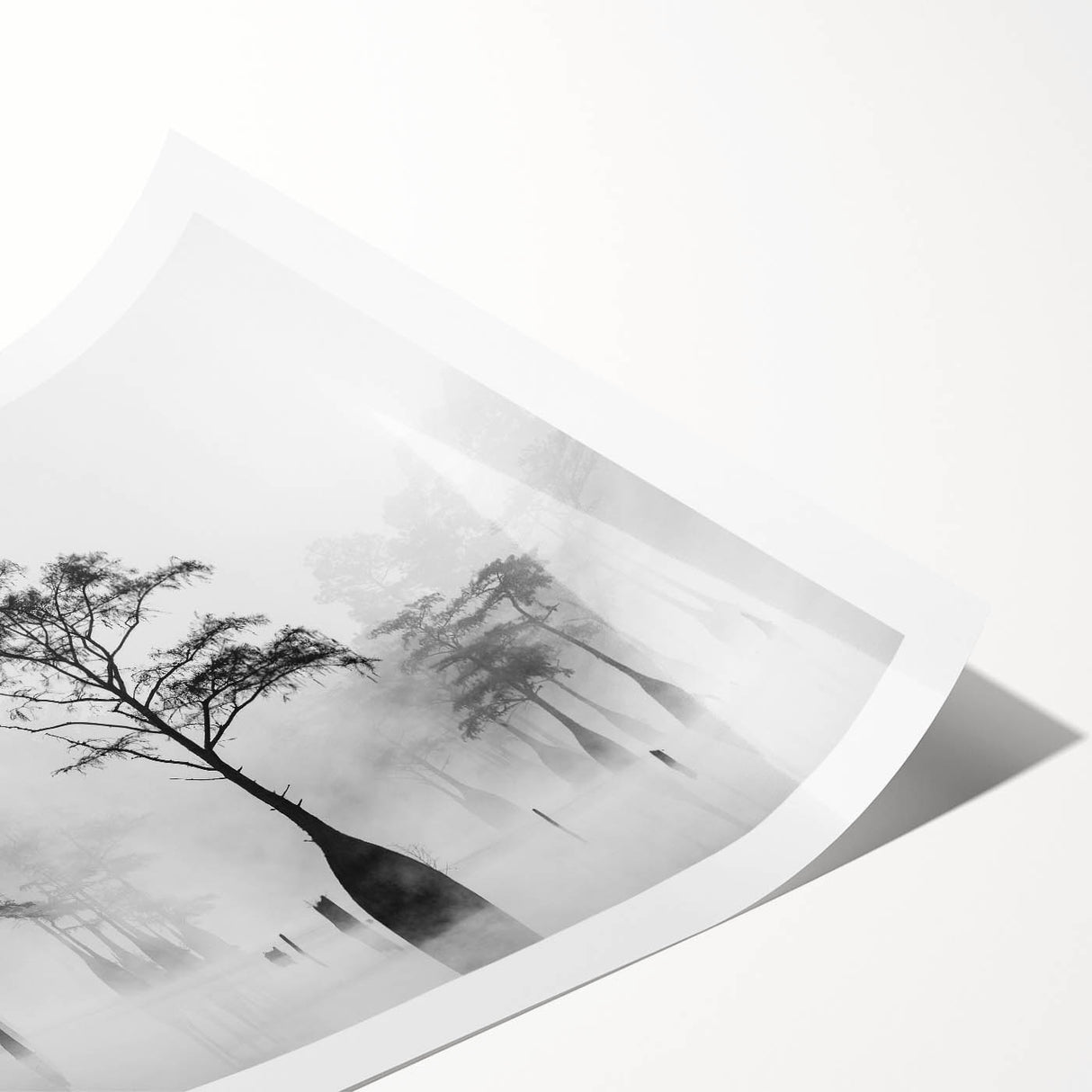 Extra large rolled print depicting line art flowers in monochrome, ideal for large living room wall art.