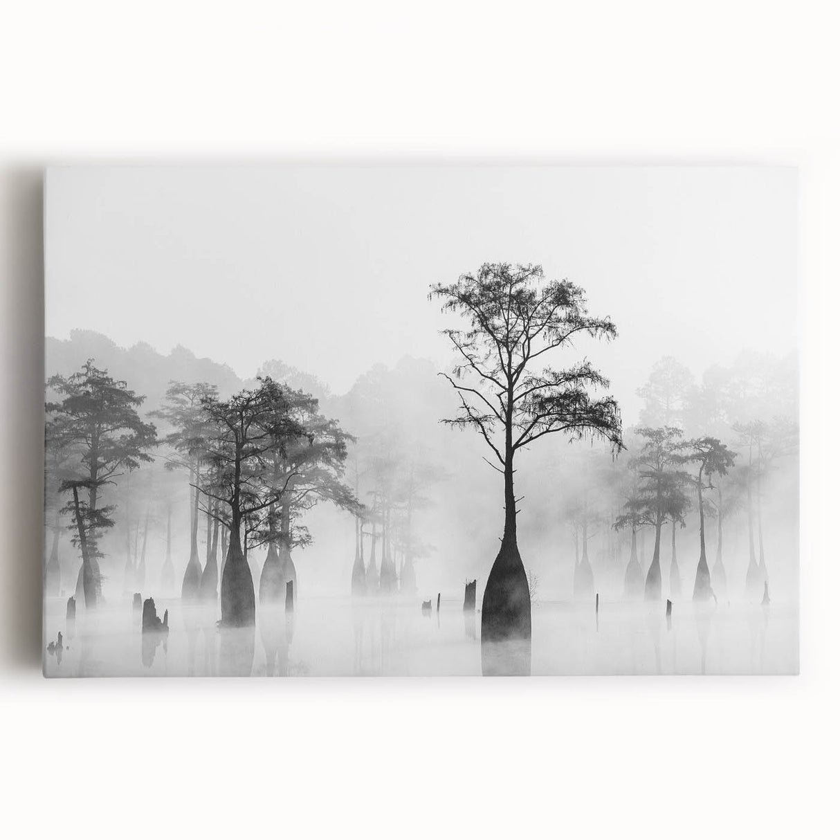 Black and white photo of Louisiana scenery on large stretched canvas, ideal for kitchen wall art.