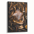 Black and white framed canvas showcasing a vintage landscape painting with autumn trees, ideal for bedroom decor.