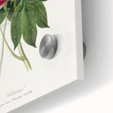 Romanticism Art - Peony Flower Painting on Canvas