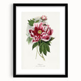 Romanticism Art - Peony Flower Painting on Canvas