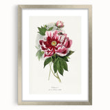 Romanticism Art - Peony Flower Painting on Canvas