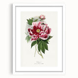 Romanticism Art - Peony Flower Painting on Canvas