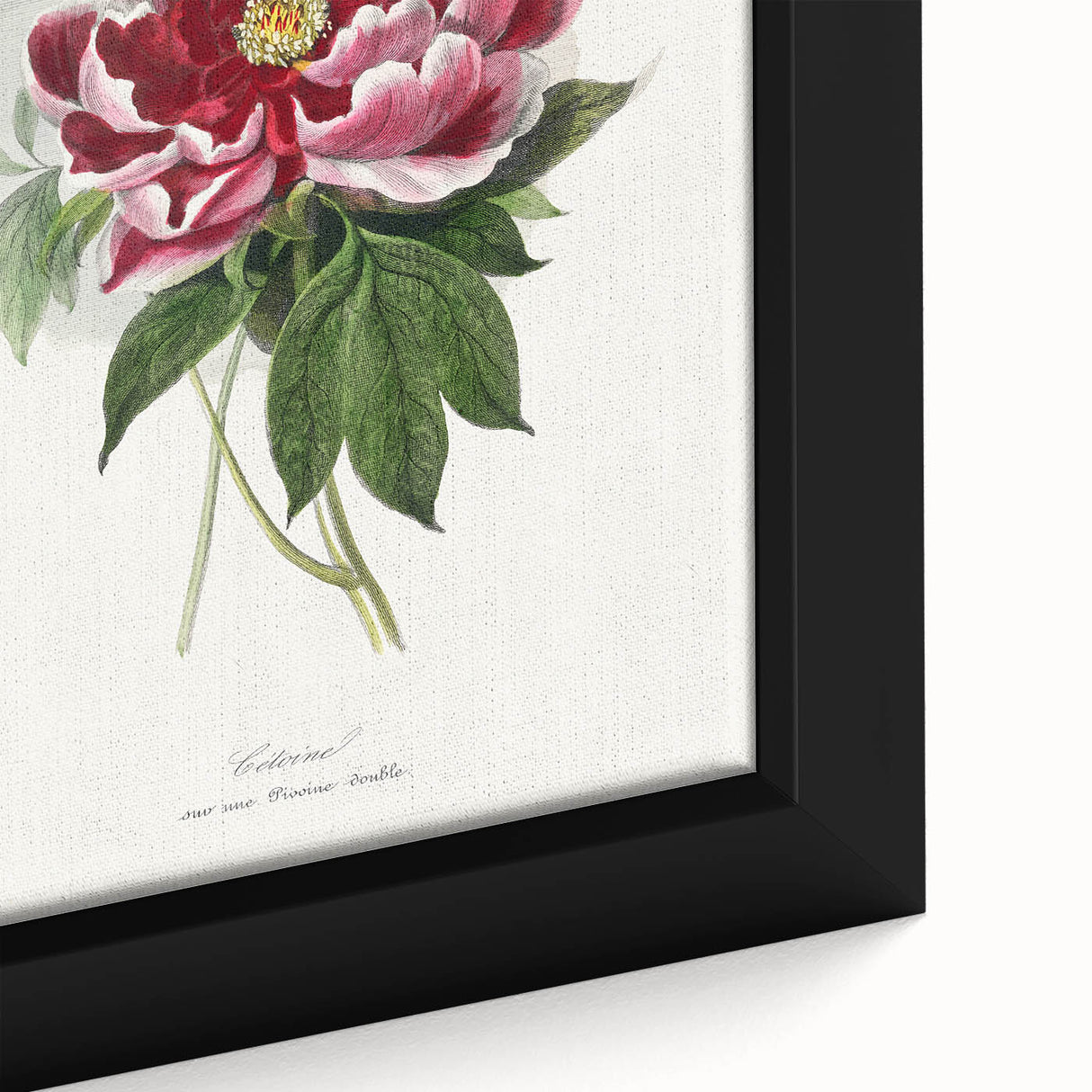 Romanticism Art - Peony Flower Painting on Canvas