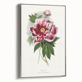 Romanticism Art - Peony Flower Painting on Canvas