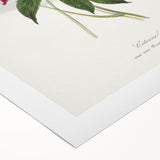 Romanticism Art - Peony Flower Painting on Canvas