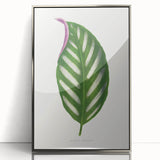 Romanticism Art - Maranta Porteana Leaf Illustration on Canvas