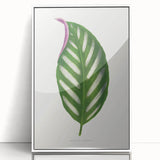 Romanticism Art - Maranta Porteana Leaf Illustration on Canvas