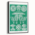 Modern Wall Art - Discomedusae by Ernst Haeckel - Intricate Marine Decor
