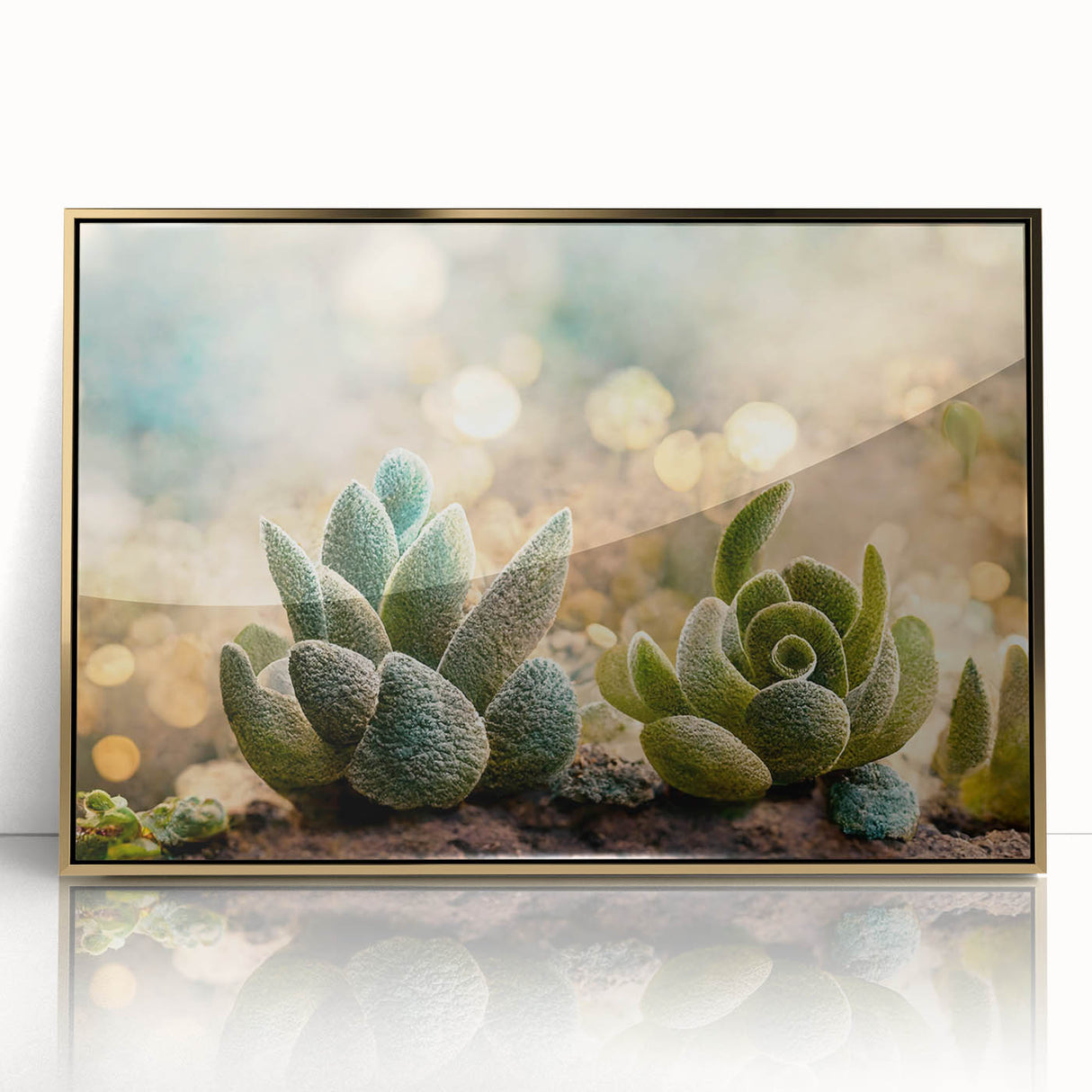 Serene Succulent Wall Art - Modern Botanical Canvas for Living Room