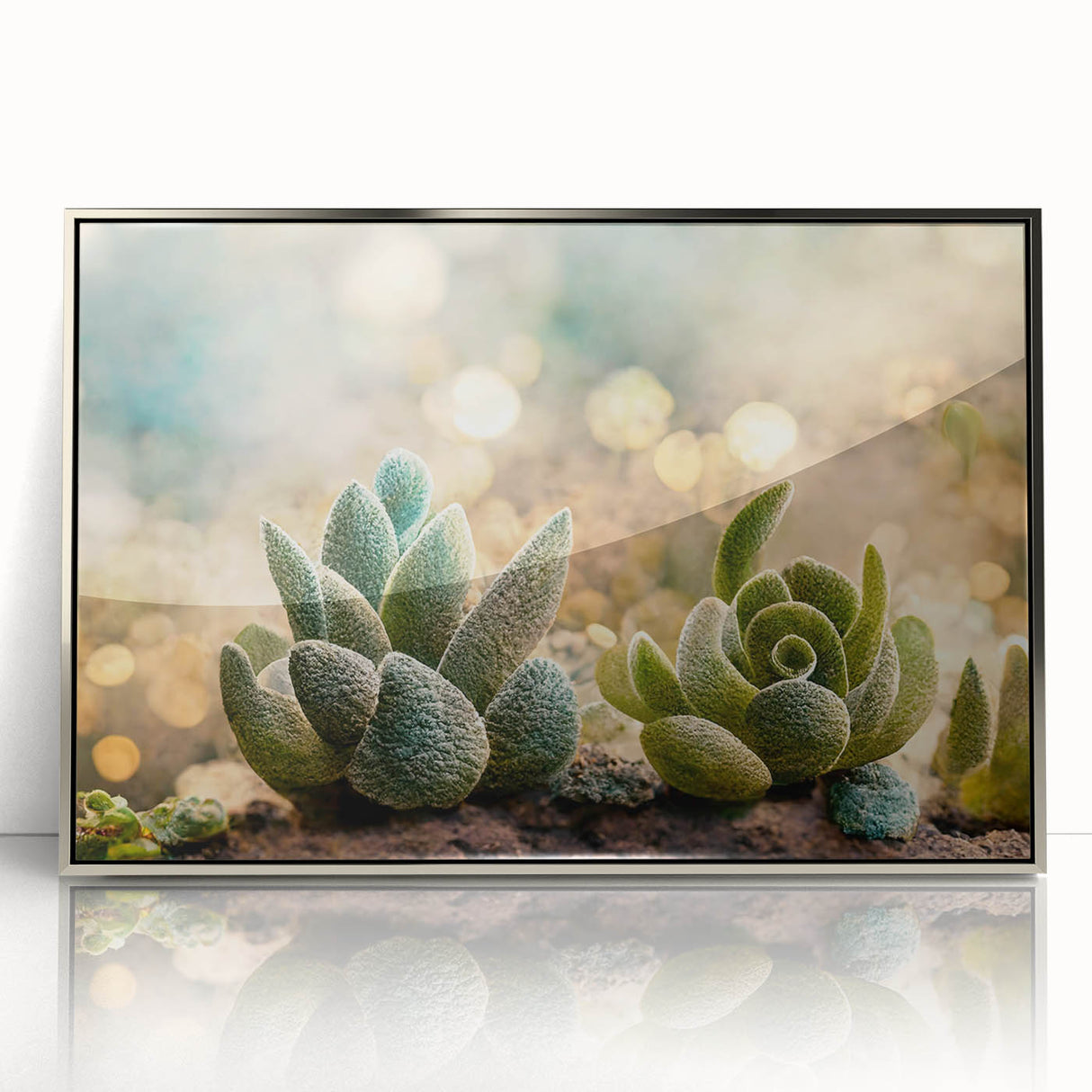 Serene Succulent Wall Art - Modern Botanical Canvas for Living Room